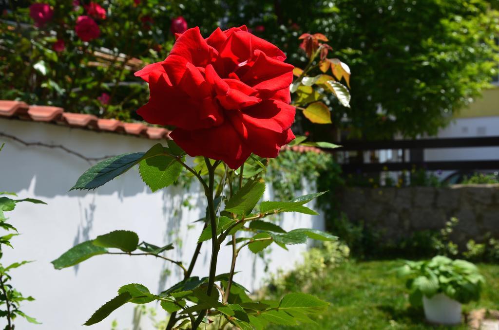 Kani Studios Sozopol Exteriör bild